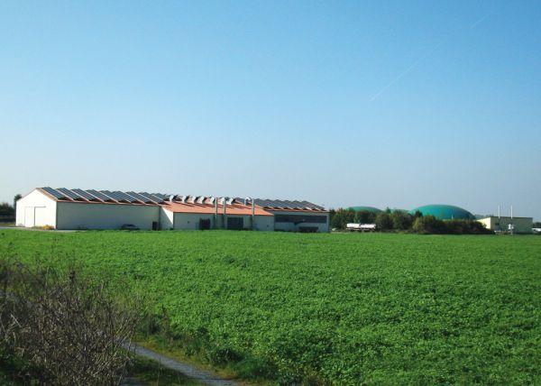 Biogasanlage Wallerstädten mit angeachlossener Kräutertrocknung